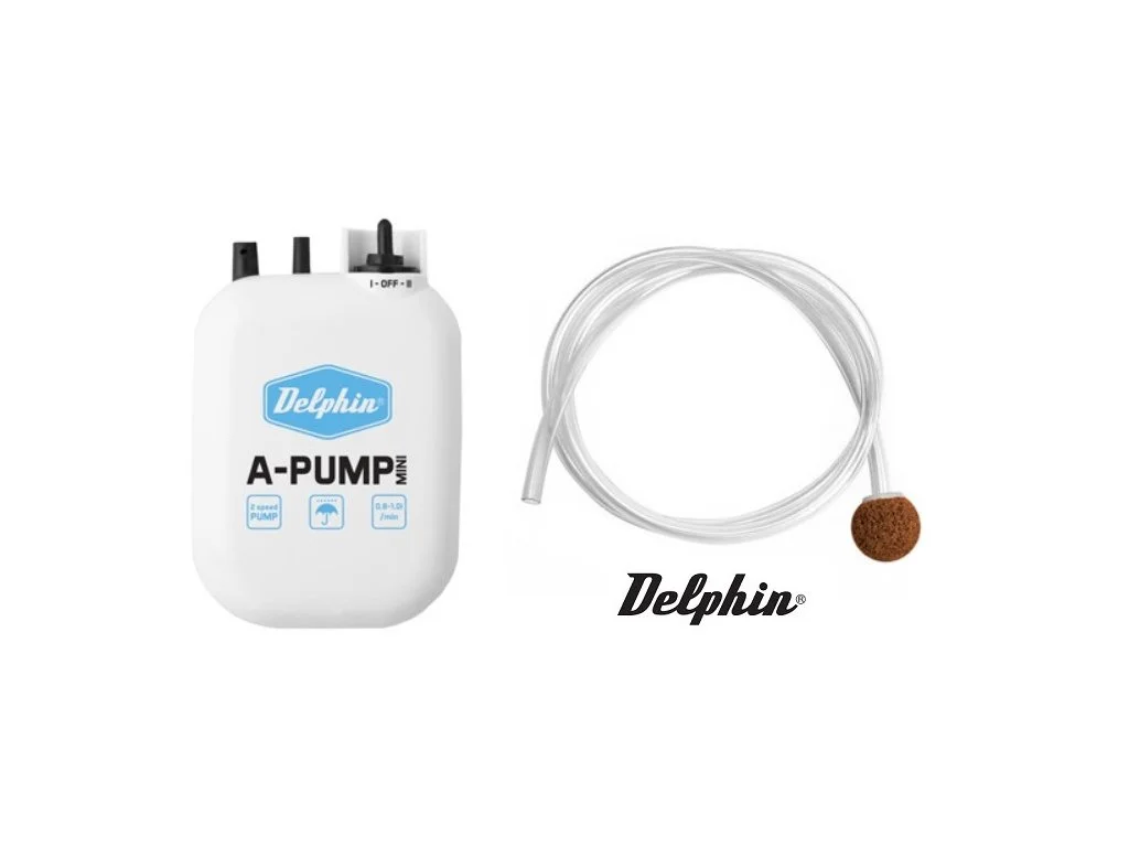 2026_07_10_2350029