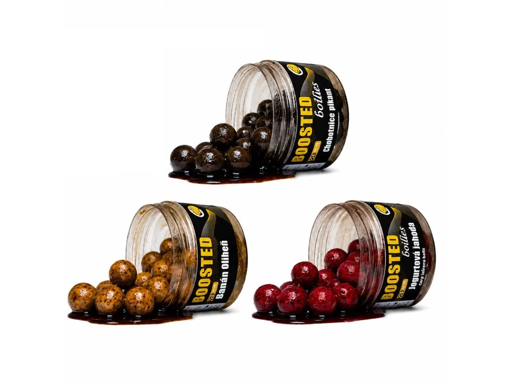 2026_07_10_2408958