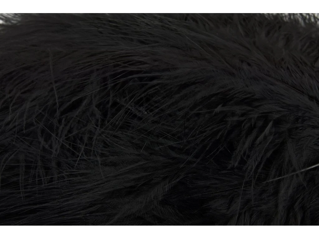 2026_07_10_2432581