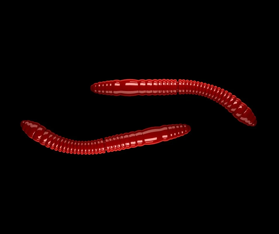 2026_07_10_2443835