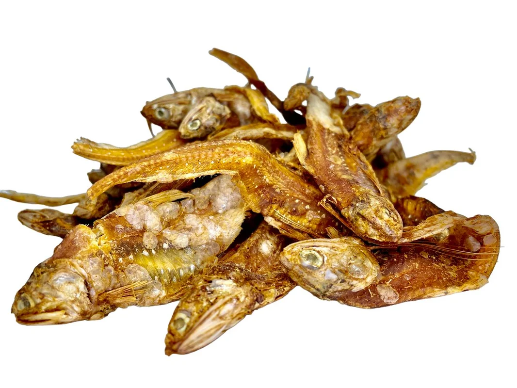 2026_07_10_2474687