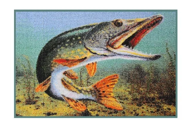 2026_07_11_2562449